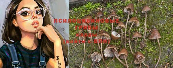 круглые Бородино