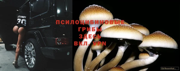 круглые Бородино