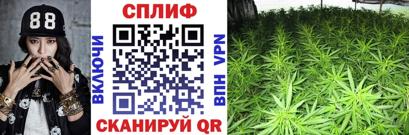 Канабис THC 21%  Новодвинск 